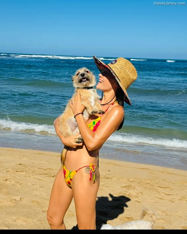 Maggie Q photo 19 of 85