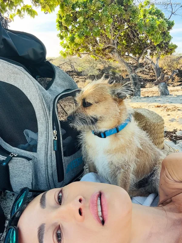 Maggie Q photo 18 of 85