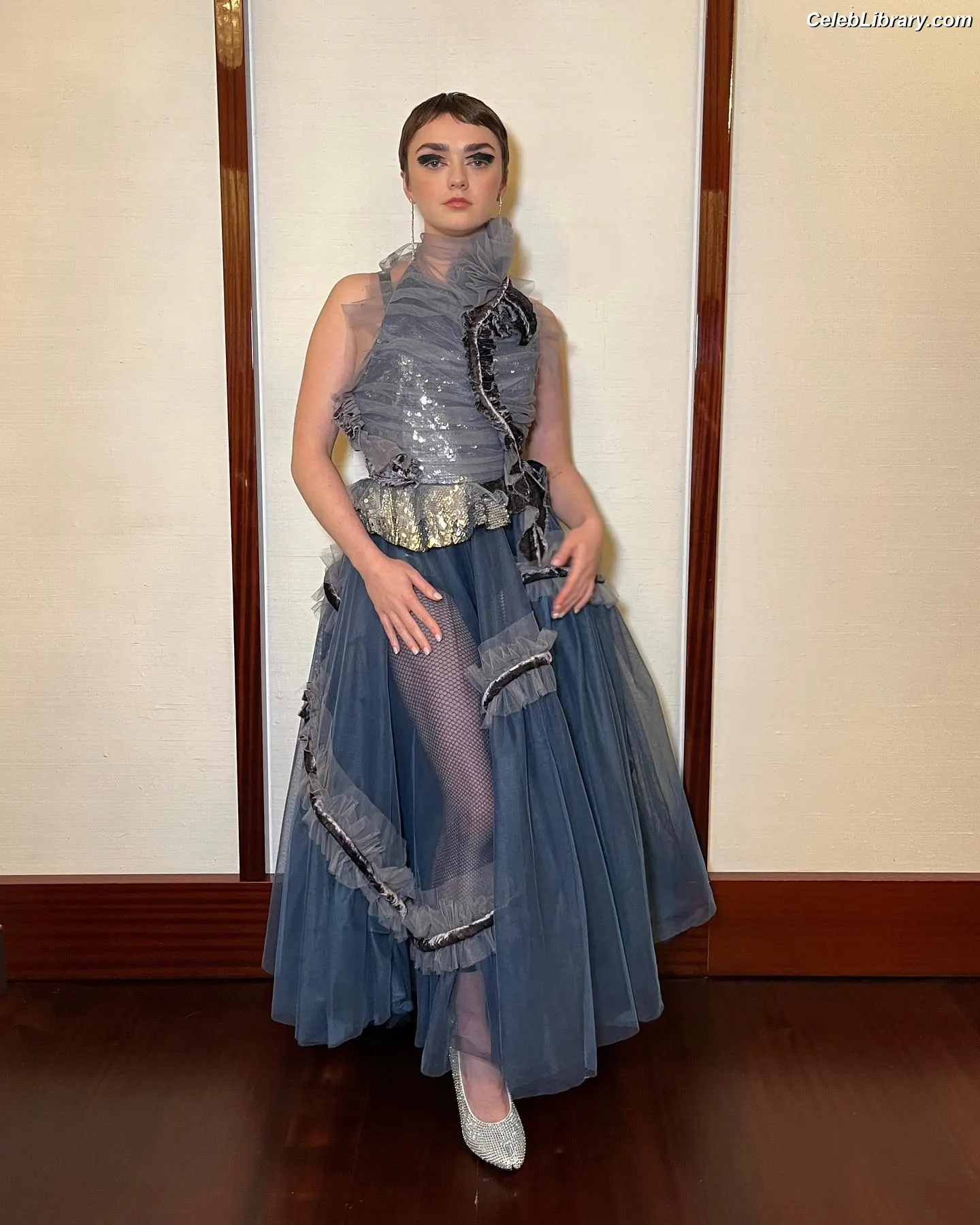 Maisie Williams photo 1 of 464