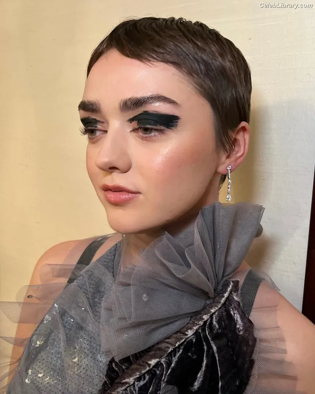 Maisie Williams photo 2 of 463