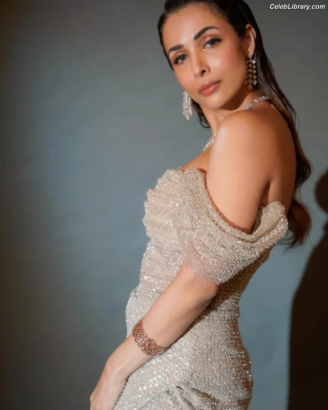 Malaika Arora photo 4 of 182