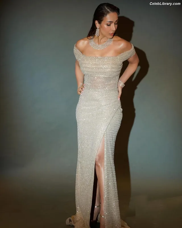 Malaika Arora photo 11 of 182