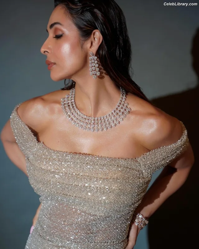 Malaika Arora photo 12 of 182