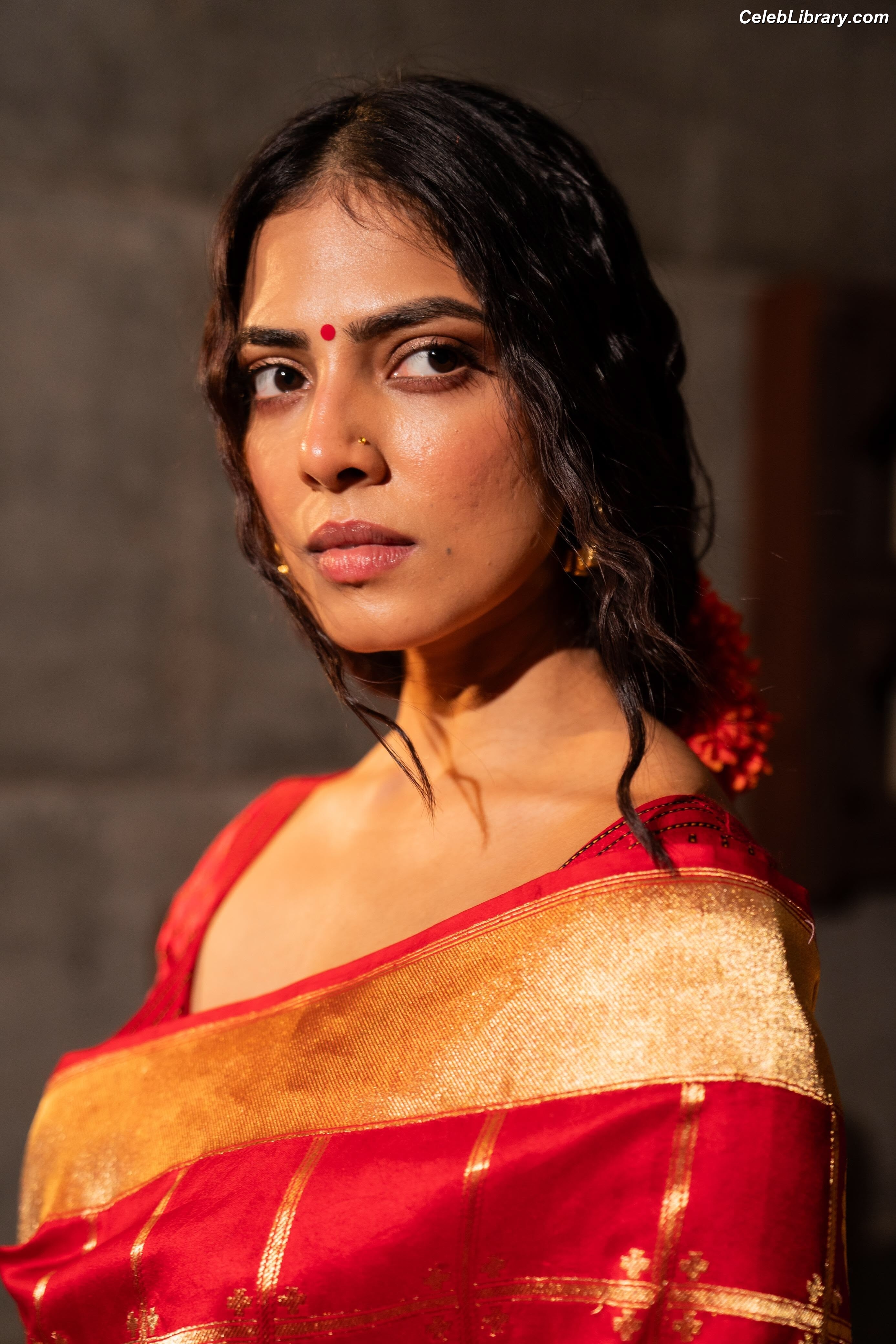 Malavika Mohanan photo 11 of 228
