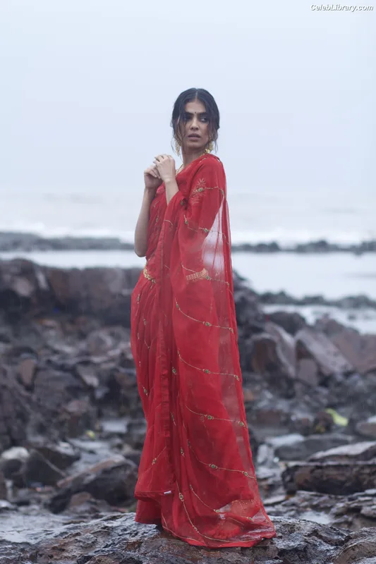 Malavika Mohanan photo 5 of 228