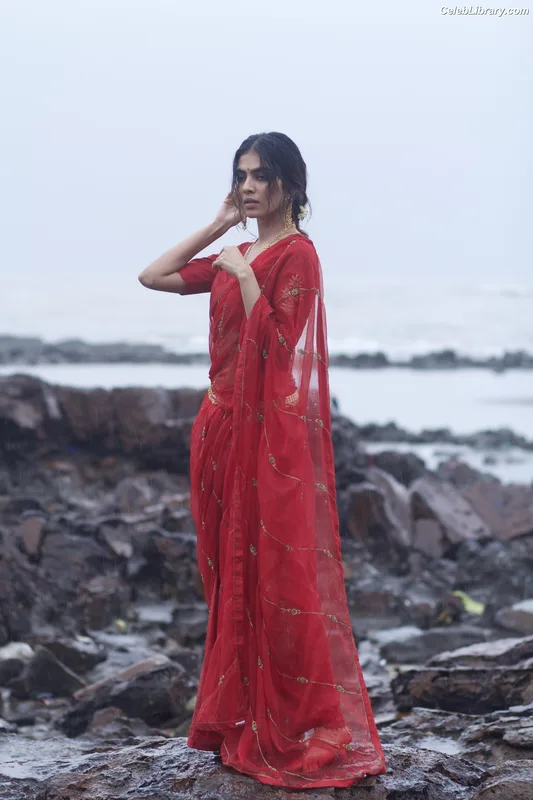 Malavika Mohanan photo 5 of 228