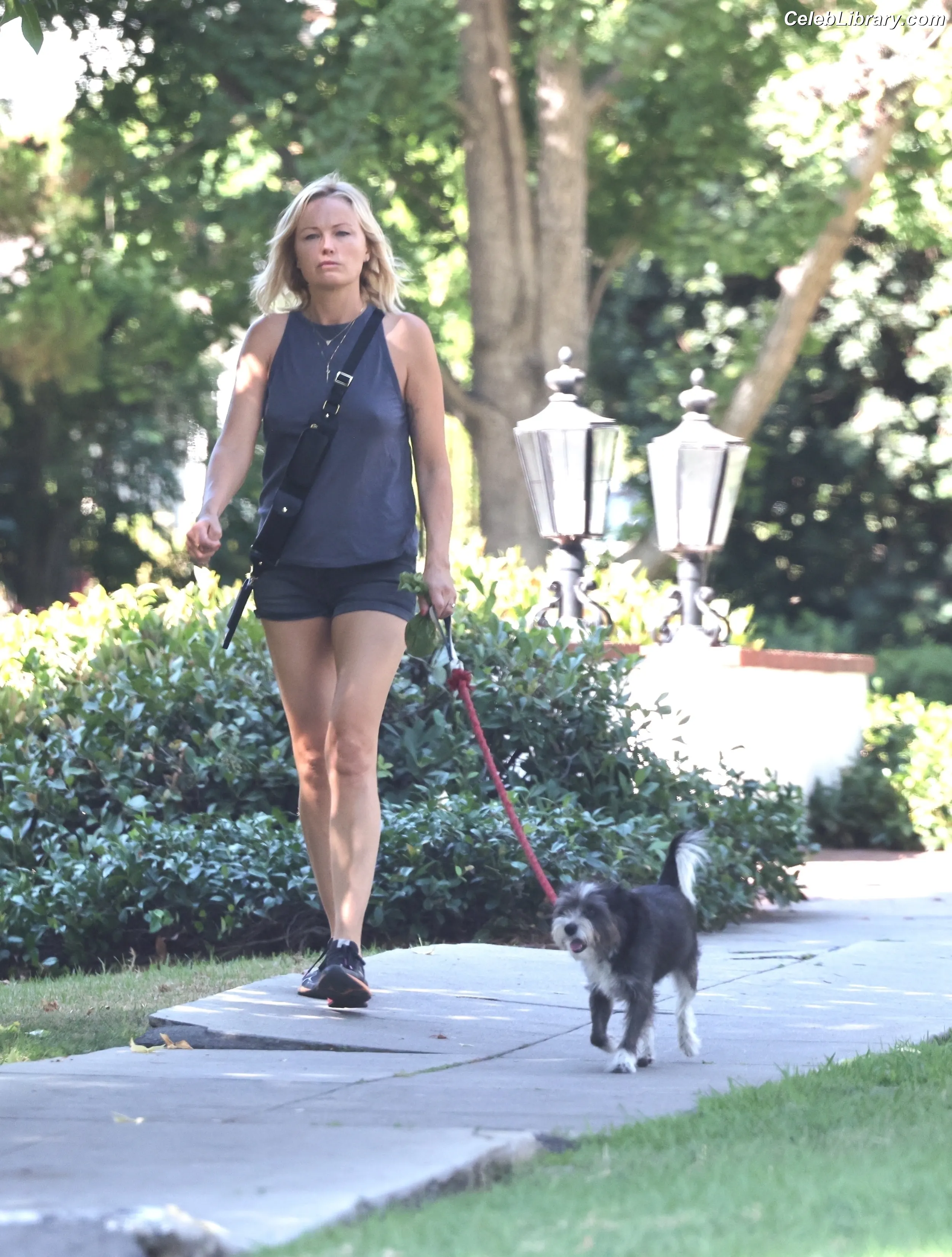 Malin Akerman photo 19 of 129