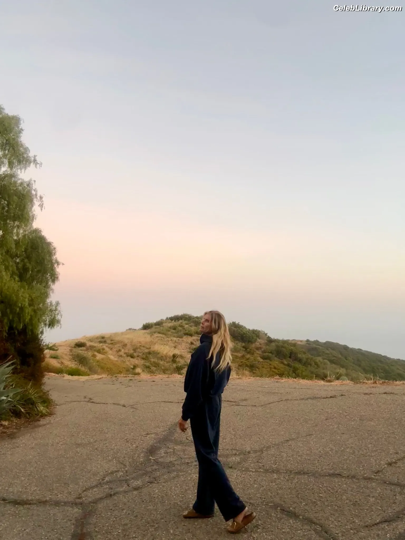 Mariel Hemingway photo 10 of 145
