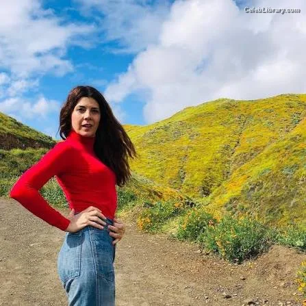 Marisa Tomei photo 6 of 68