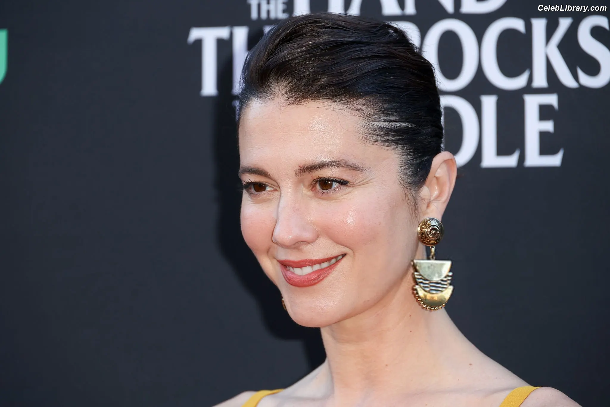 Mary Elizabeth Winstead photo 1 of 286