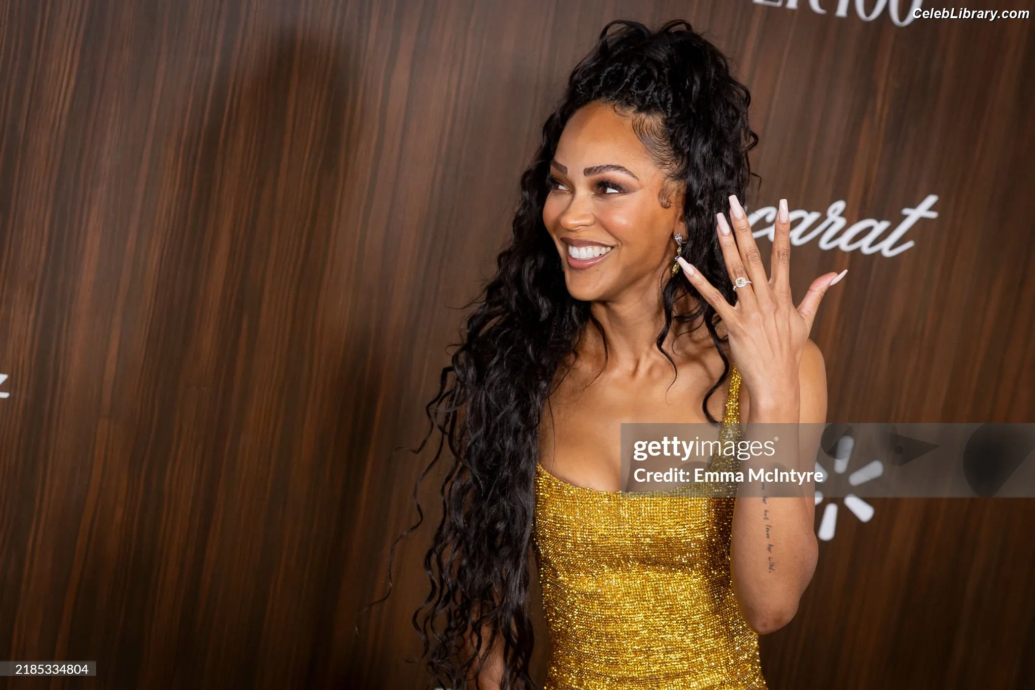Meagan Good photo 5 of 200