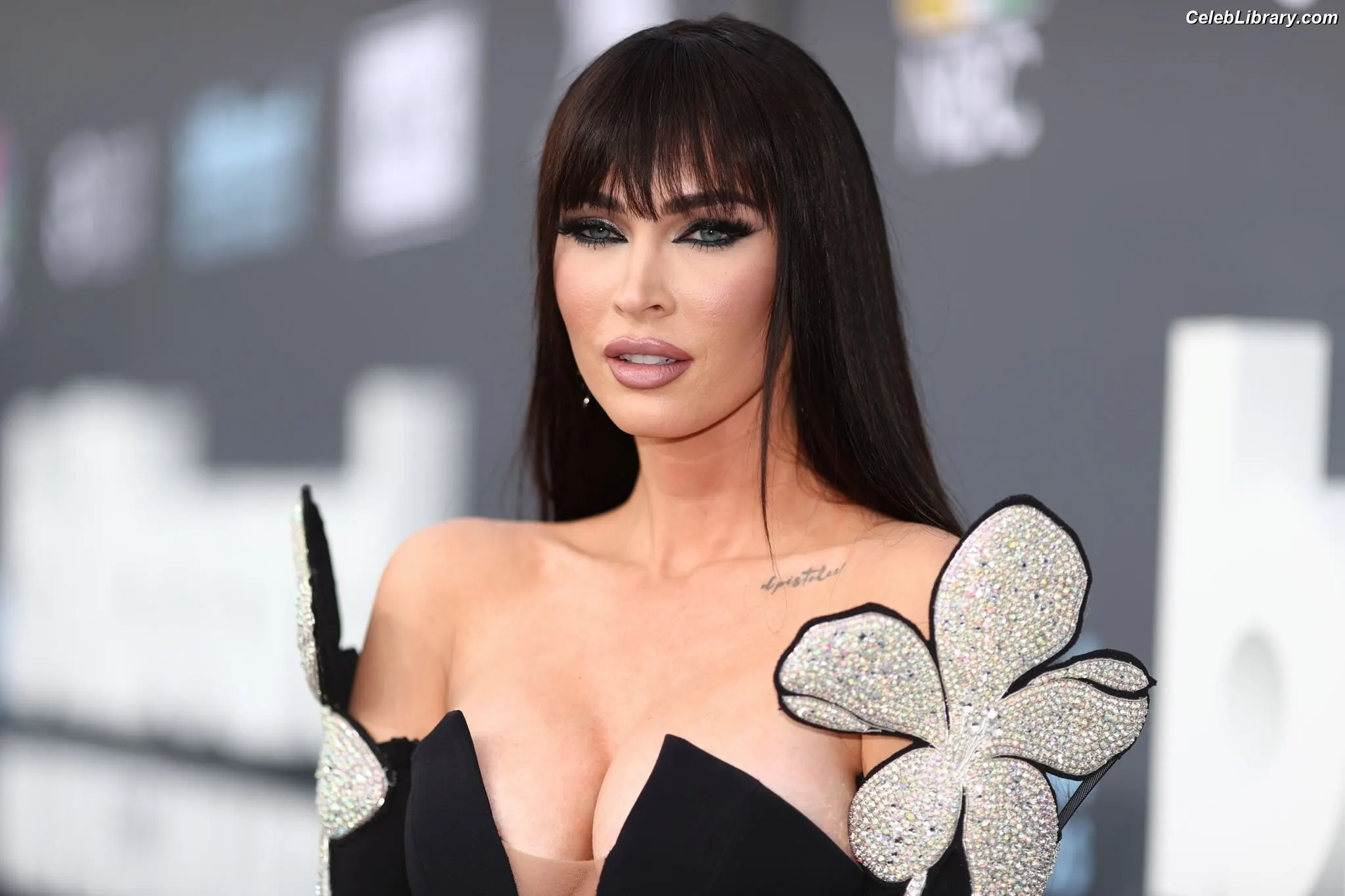 Megan Fox photo 3 of 1038