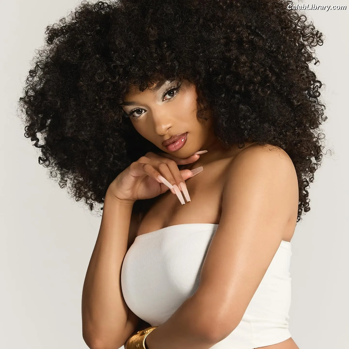 Megan Thee Stallion photo 14 of 2001