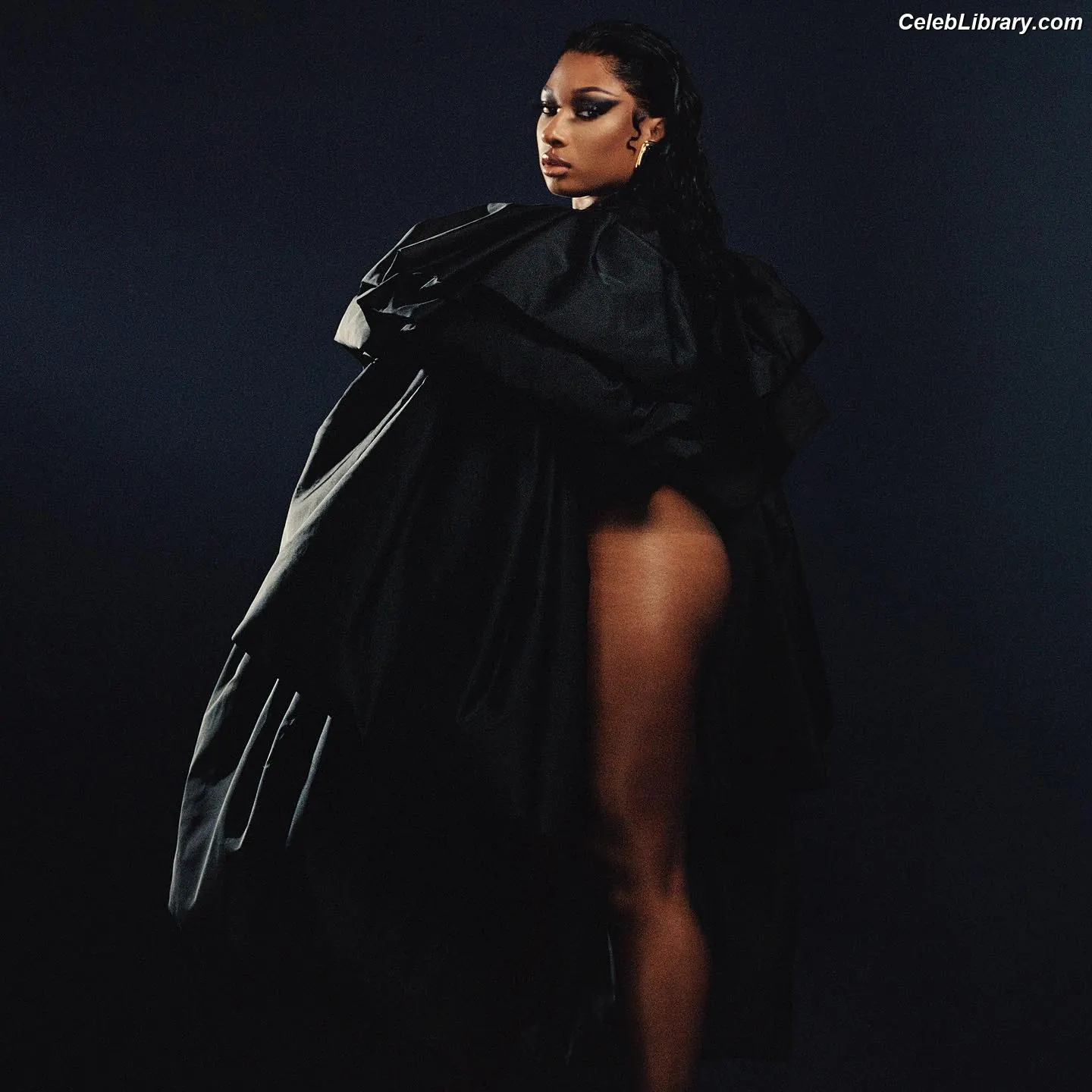 Megan Thee Stallion photo 18 of 2001