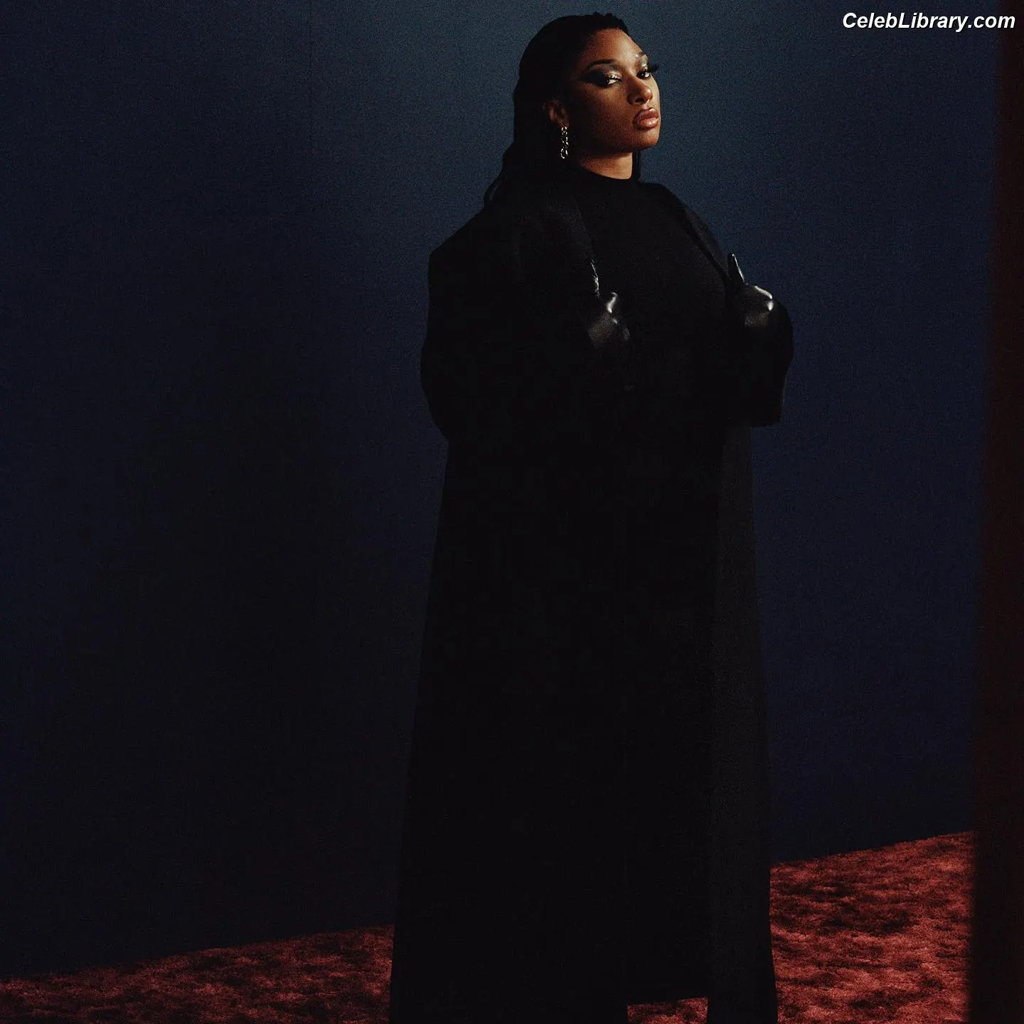 Megan Thee Stallion photo 3 of 2001
