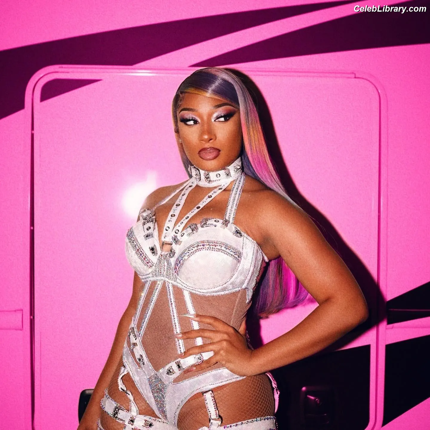 Megan Thee Stallion photo 7 of 2001
