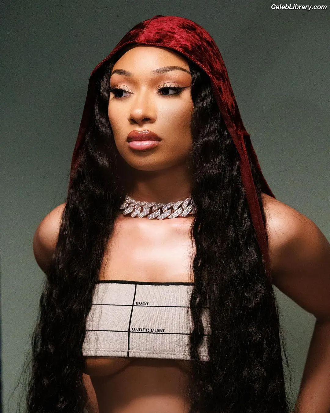 Megan Thee Stallion photo 22 of 2001