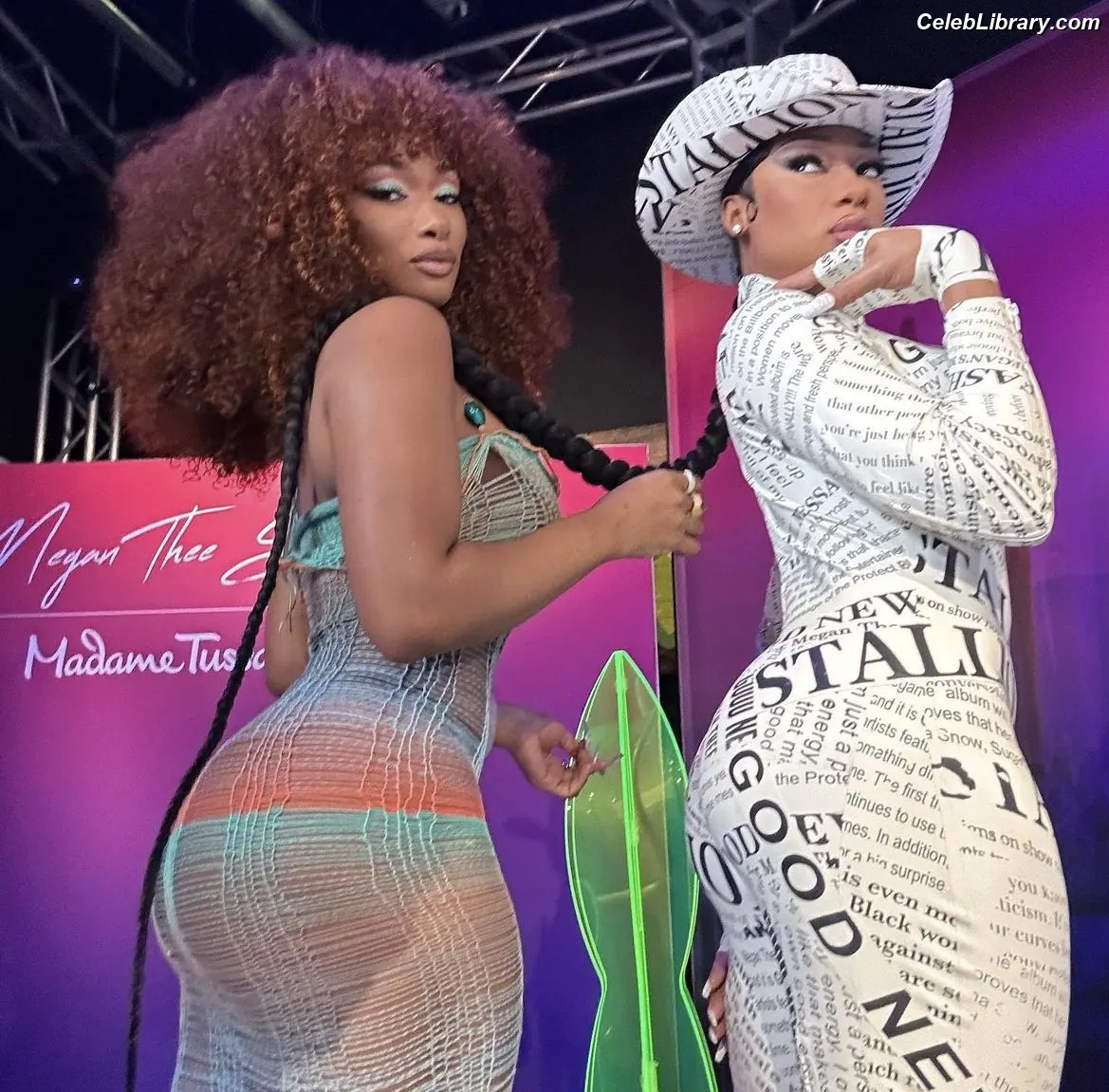 Megan Thee Stallion photo 2 of 2001