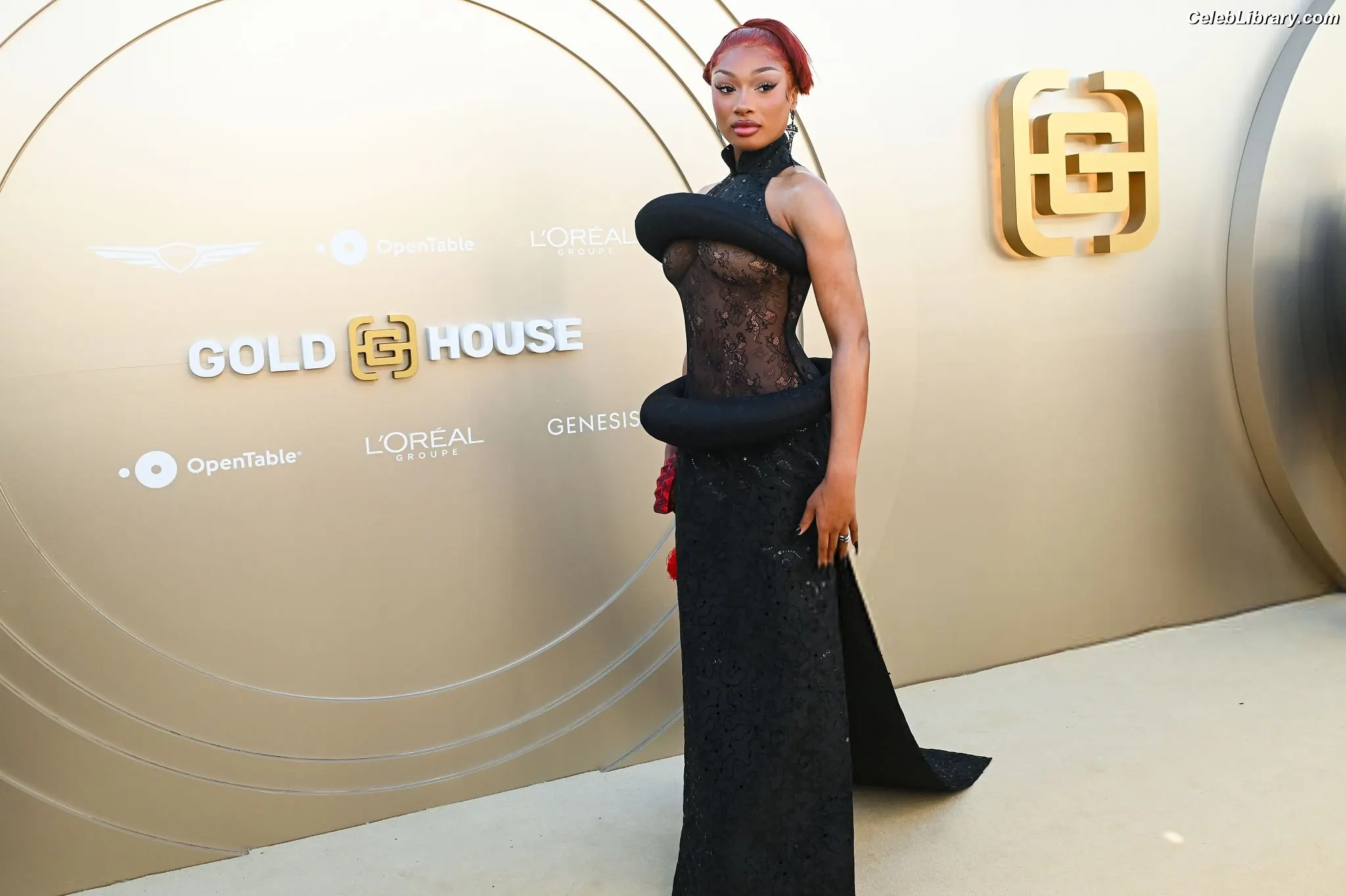 Megan Thee Stallion photo 11 of 2001
