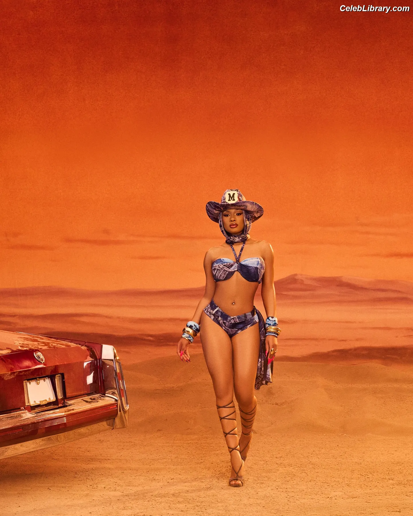 Megan Thee Stallion photo 5 of 2001