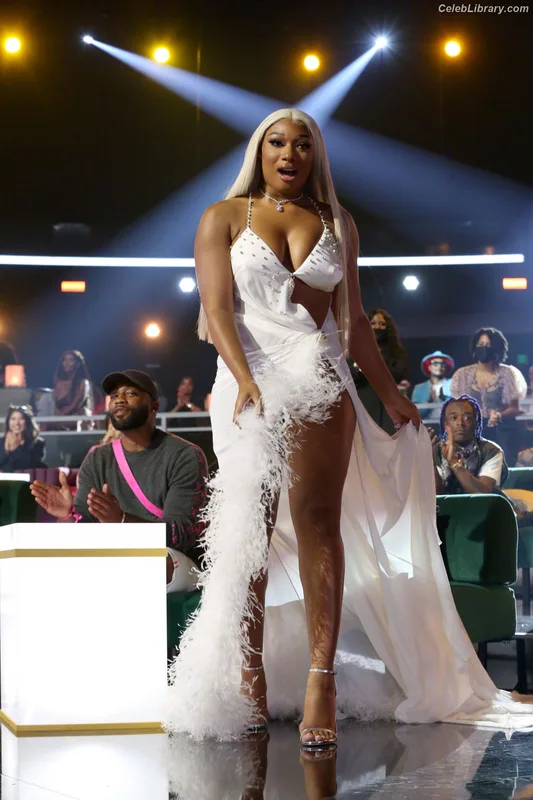 Megan Thee Stallion photo 3 of 1985