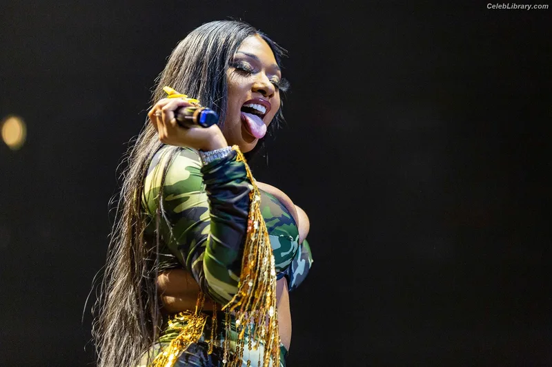 Megan Thee Stallion photo 4 of 1985