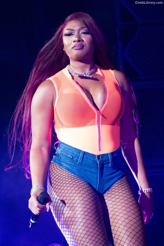 Megan Thee Stallion photo 9 of 1985