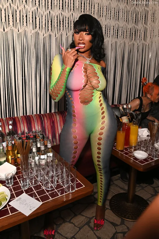 Megan Thee Stallion photo 11 of 1985