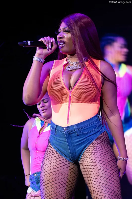 Megan Thee Stallion photo 19 of 1985