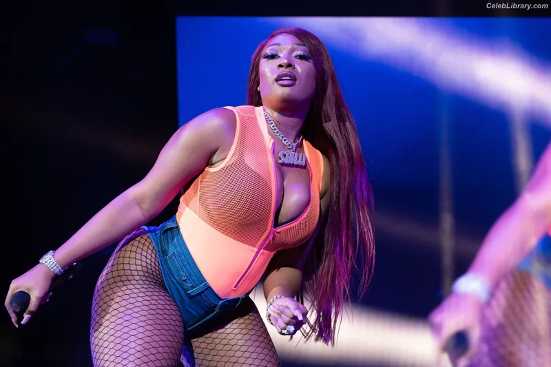 Megan Thee Stallion photo 22 of 1985