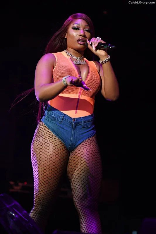 Megan Thee Stallion photo 23 of 1985