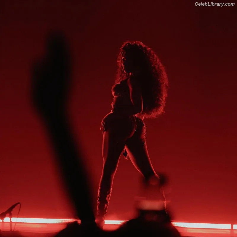 Megan Thee Stallion photo 5 of 1985