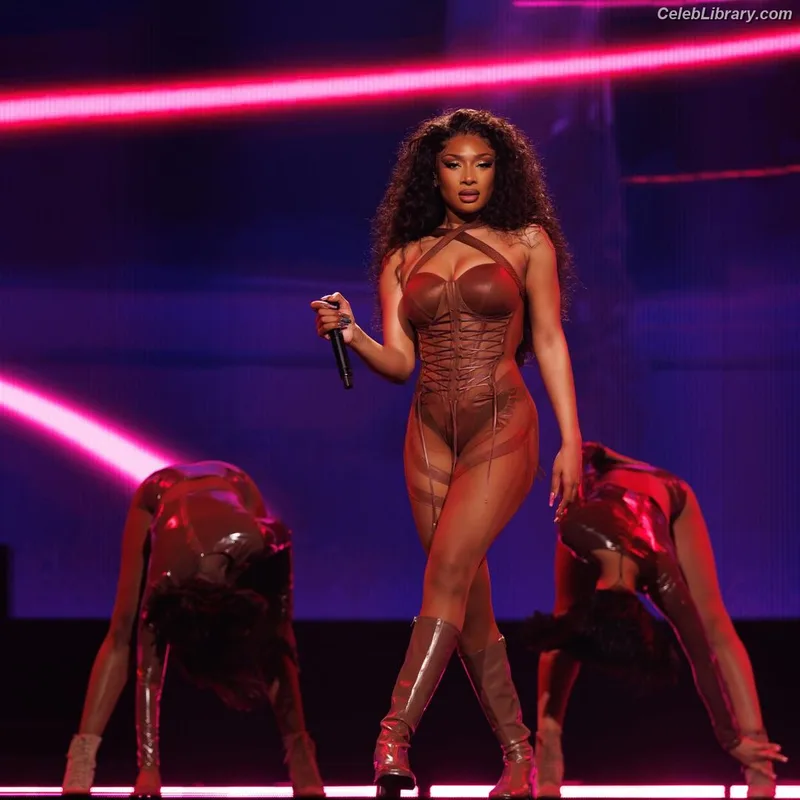 Megan Thee Stallion photo 6 of 1985