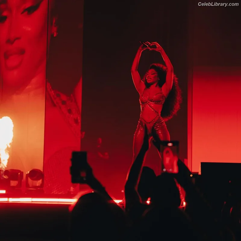 Megan Thee Stallion photo 10 of 1985