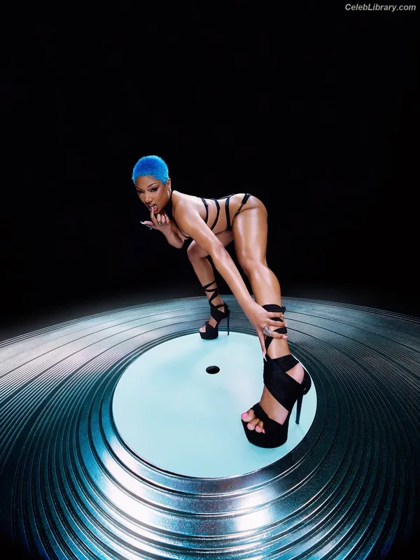 Megan Thee Stallion photo 3 of 1985