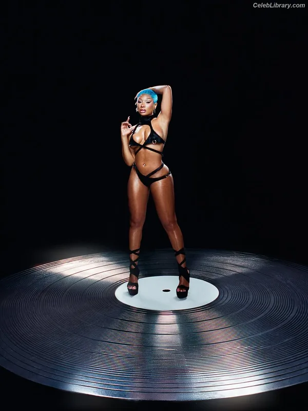 Megan Thee Stallion photo 5 of 1985