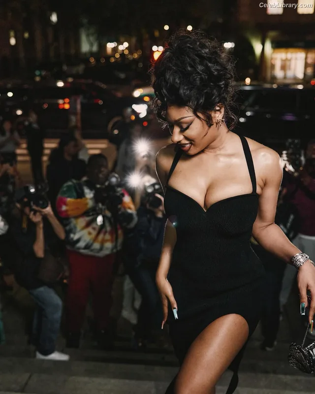 Megan Thee Stallion photo 14 of 1985