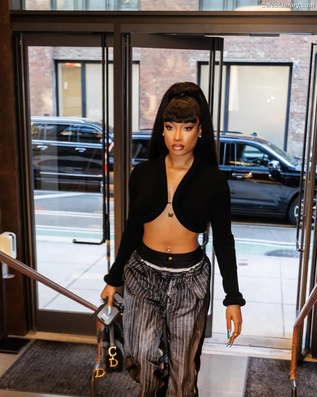Megan Thee Stallion photo 24 of 1985