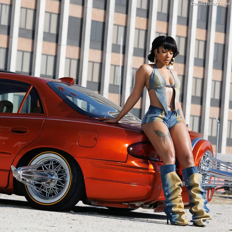 Megan Thee Stallion photo 5 of 1985