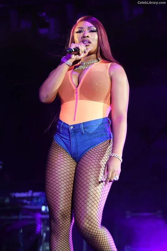 Megan Thee Stallion photo 1 of 1985
