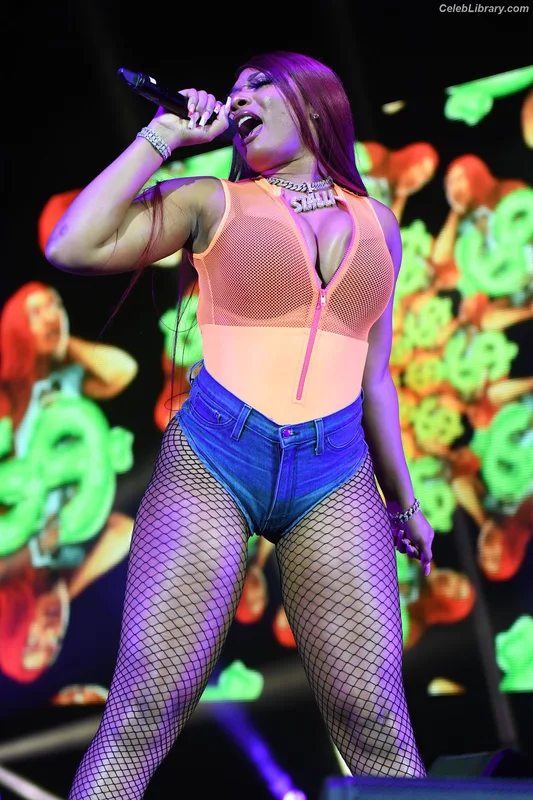 Megan Thee Stallion photo 11 of 1985
