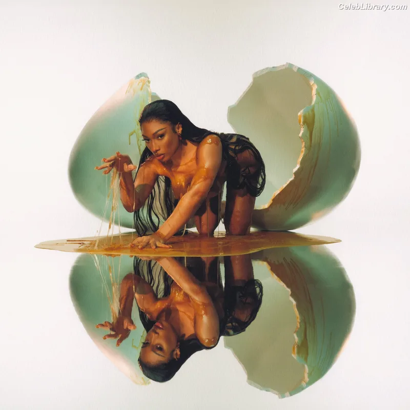 Megan Thee Stallion photo 24 of 1985