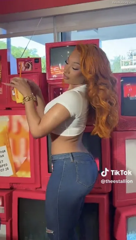 Megan Thee Stallion photo 3 of 1985