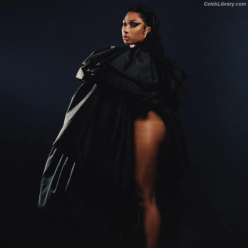 Megan Thee Stallion photo 18 of 1985