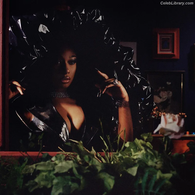 Megan Thee Stallion photo 19 of 1985