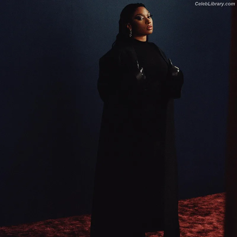 Megan Thee Stallion photo 3 of 1985