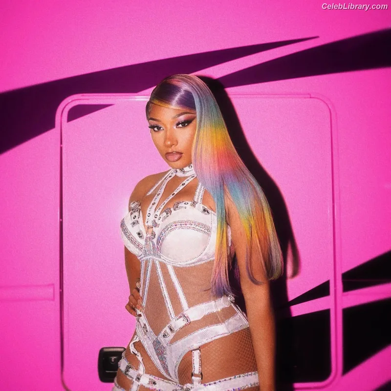 Megan Thee Stallion photo 6 of 1985
