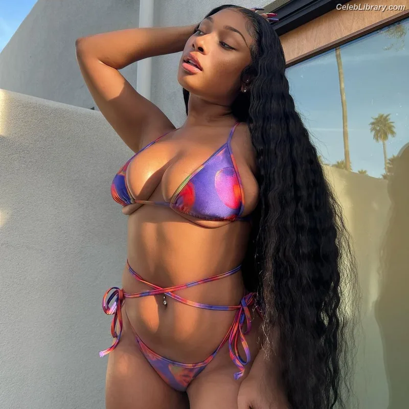Megan Thee Stallion photo 12 of 1985