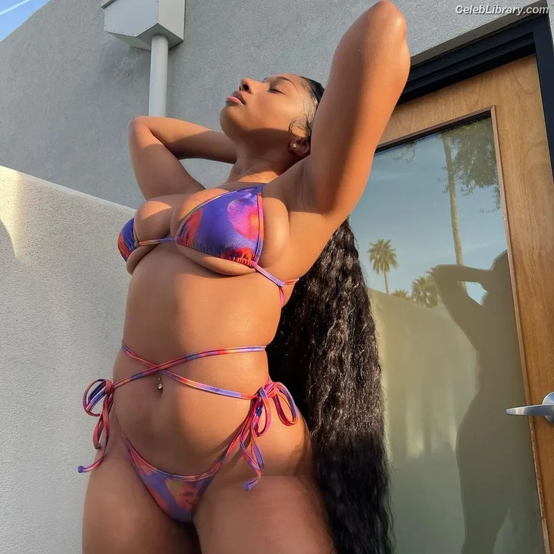 Megan Thee Stallion photo 16 of 1985