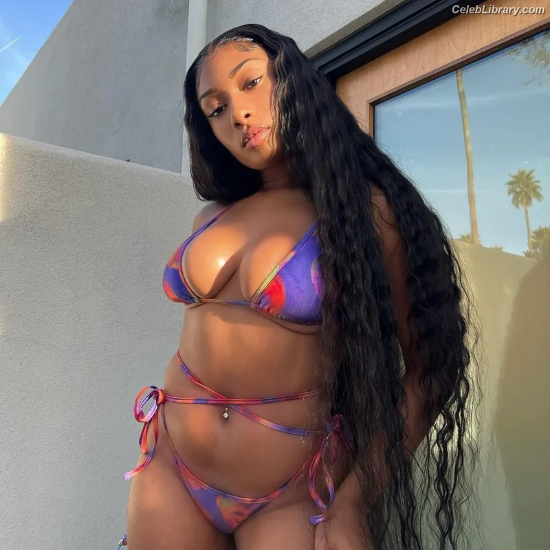 Megan Thee Stallion photo 18 of 1985